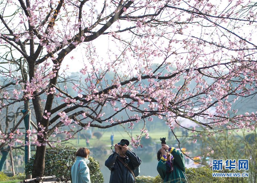 2024年北京人工智能核心產(chǎn)業(yè)規(guī)模預(yù)計突破3000億元