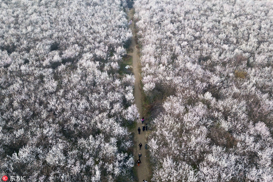 車評(píng)大V韓路接航旅詐騙電話：騙子準(zhǔn)確報(bào)出航班號(hào)、身份證號(hào)