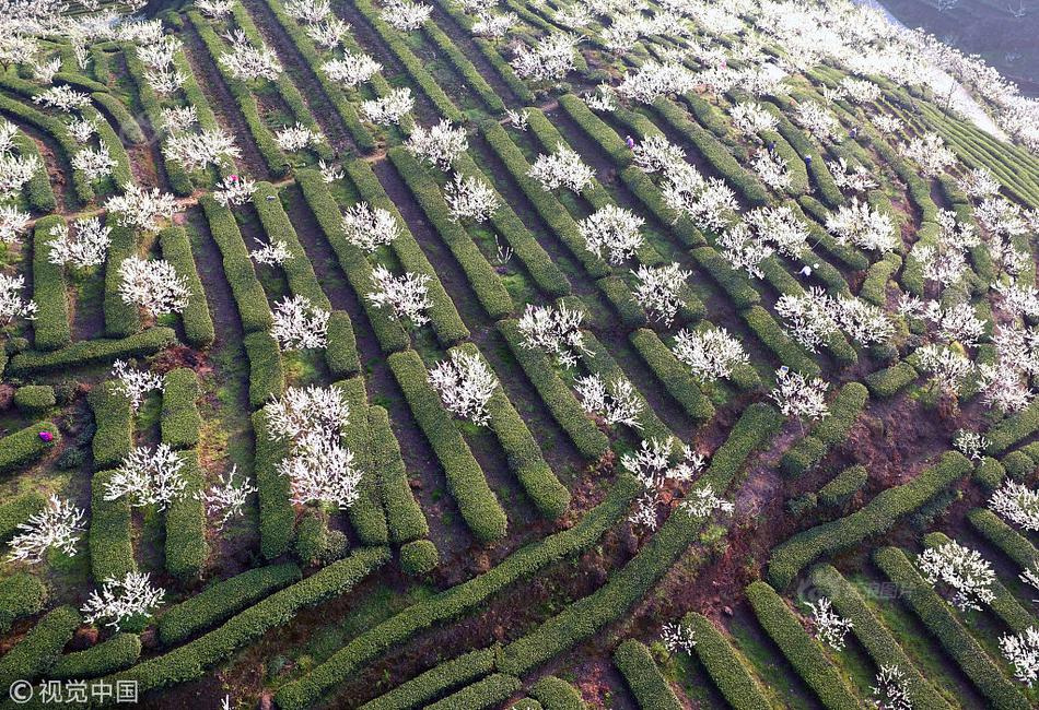 在地下700米捕捉幽靈粒子！江門中微子實驗液體灌注正式啟動