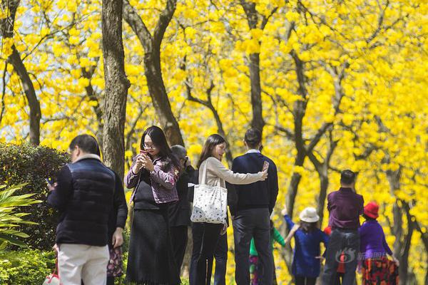 絨面皮面 防水保暖：啄木鳥Plover男士商務(wù)加絨棉鞋 限時(shí)39.9元