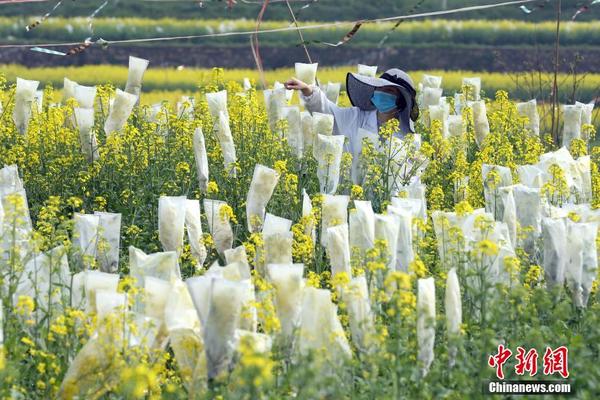 新疆的海鮮、甘肅的蝦 農(nóng)業(yè)大摸底太精彩了