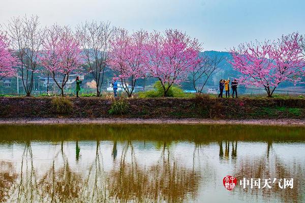 首個國家級“中國天氣智能體”上線：包括全國超過2400個氣象站實時數(shù)據(jù)