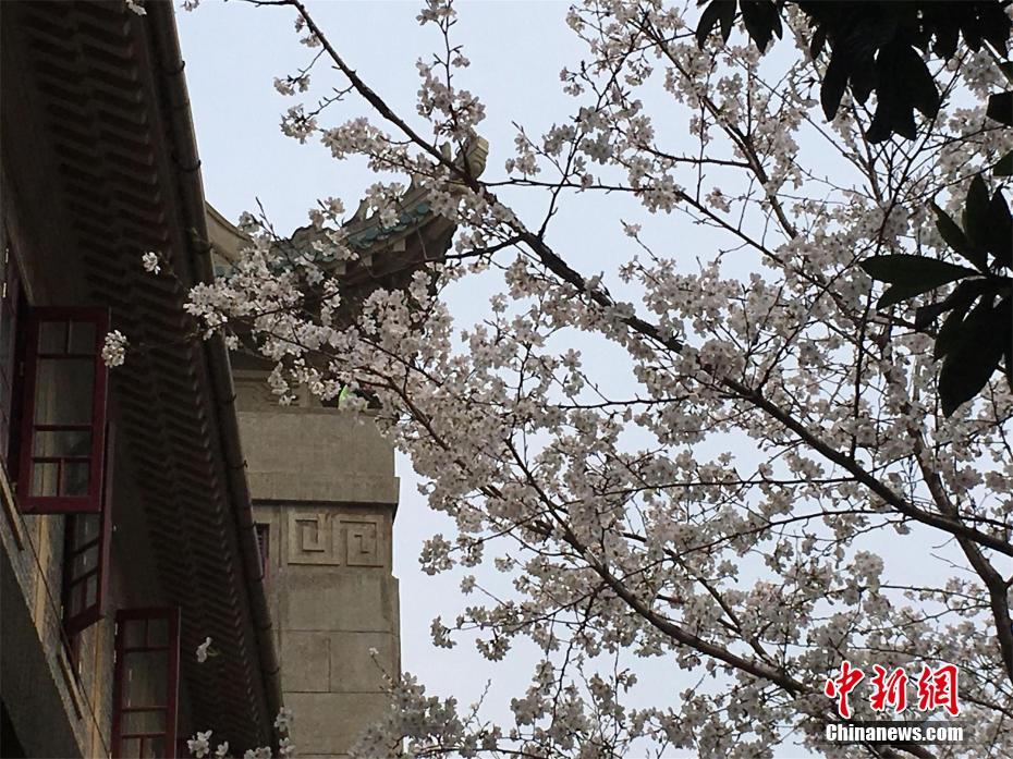 記者：拜仁外租前鋒薩拉戈薩跖骨骨折需要手術(shù)，預(yù)計(jì)明年2月復(fù)出