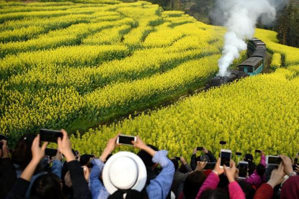 [流言板]杜蘭特：鄧恩曾來過我的訓(xùn)練營，鄧恩反駁：你從來沒邀請(qǐng)我