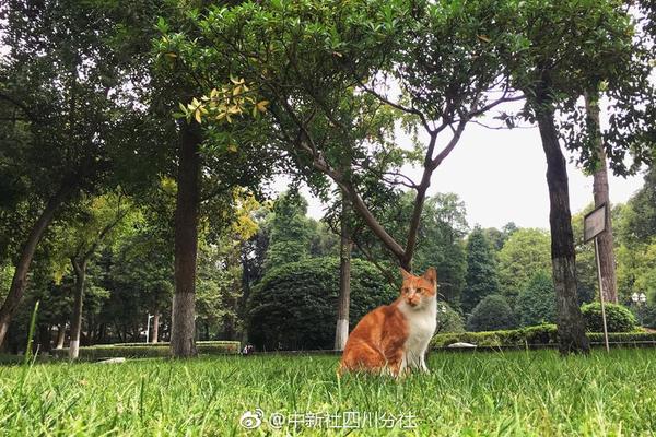 特斯拉白內(nèi)飾怕臟嗎 陶琳發(fā)演示視頻：紅酒倒上去也無妨