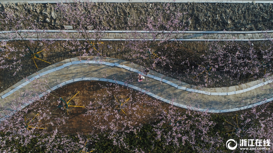 [流言板]變陣了！下半場(chǎng)鮑威爾沒有首發(fā)出戰(zhàn)，科菲代替其首發(fā)