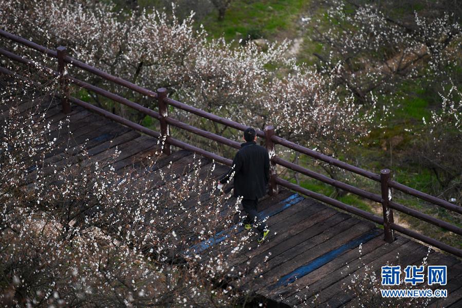 玉林邁入高鐵時(shí)代 至南寧行程縮短至48分鐘