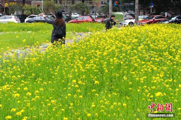 三種穿法、保暖防風(fēng)！唐獅Desso沖鋒衣大促：69元到手