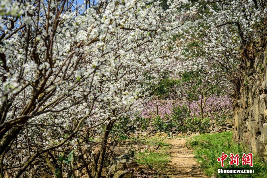 馬斯克跨性別女兒稱(chēng)要離開(kāi)美國(guó)引圍觀 看不到自己未來(lái)：網(wǎng)友感慨