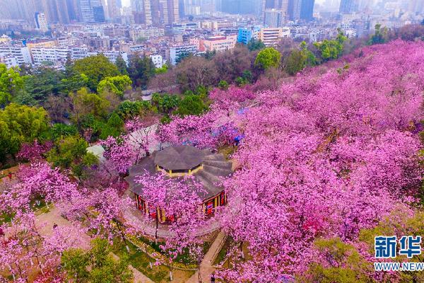 曝保時捷將優(yōu)化中國銷售渠道：全國4S店縮減至百家