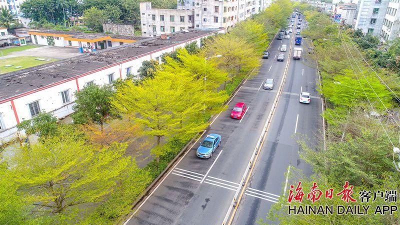 “鴻蒙之父”王成錄回應(yīng)為何離開華為：不讓鴻蒙生態(tài)受到約束