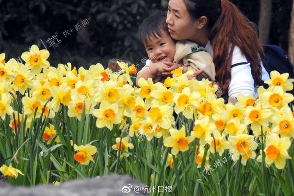 [流言板]蓋帽回應(yīng)！恩比德釘板大帽布倫森，送上本賽季第一次封蓋