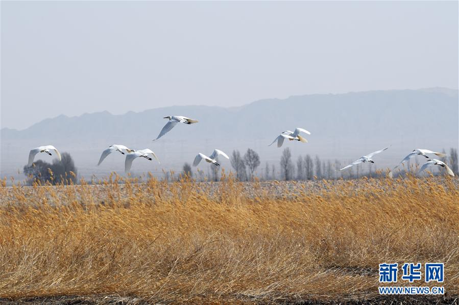 [流言板]奧莫特滯空頂開張陳治鋒強(qiáng)硬打進(jìn)，做出Too Small慶祝動作